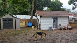 Backyard Patio Layout Staked Out