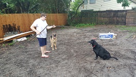 Backyard Patio Nick's Stick Tricks