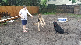 Backyard Patio Nick's Stick Tricks