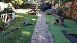 Backyard Railroad Turf Upgrade