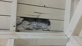 Garage Repair On Hold