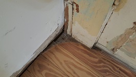 Kitchen Flooring Sanding And Edging Complete 100 Grit