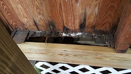 Side Porch Fighting Rotted Flooring