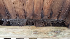 Side Porch Fighting Rotted Flooring